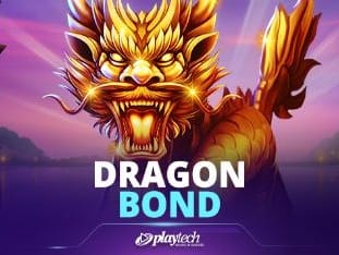 Dragon Bond