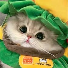Siti Aminah avatar