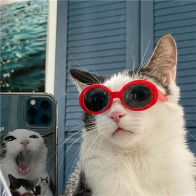 Lani Cahyani avatar